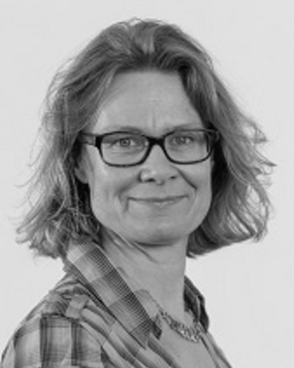 Professor L.J. (Larissa) van den Herik - Chair